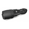 LED Flashlight, AAA Battery, Black