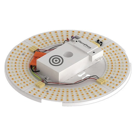 LEDCircularDrum, 1ftL, 1ftW, 120/277VAC