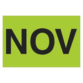 Months of the Year Labels, "NOV", 2" x 3", Fluorescent Green, 500/Roll