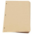 Loose Leaf Paper, All Weather, Brown, PK100