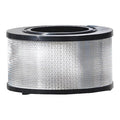 Cartridge Filter, 4 in H, Paper
