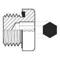 Hose Adapter,1/2"",BSPP