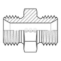 Hose Adapter,1"",BSPP,1"",BSPP