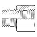 Hose Adapter,1/4"",BSPT,1/4"",NPT