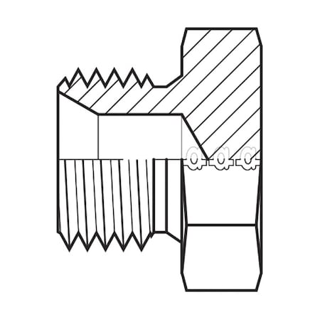 Hose Adapter,2"",BSPP