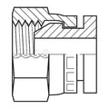 Hose Adapter,3/4"",BSPP