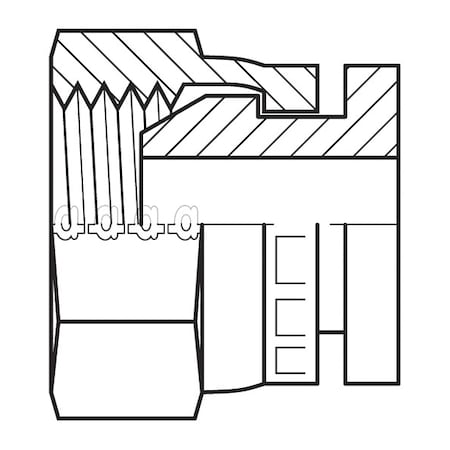 Hose Adapter,3/4"",BSPP