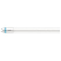 Linear LED Bulb, Med Bi-Pin (G13), T8, 16W