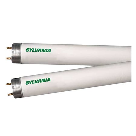 Fluorescent, 17 W, T8, Medium Bi-Pin (G13)