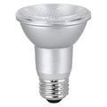 LED, 5 W, PAR20, Medium Screw (E26)