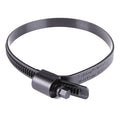 Worm Gear Hose Clamp, Plastic, Hex, PK10