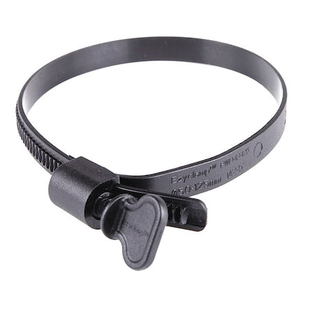 Worm Gear Hose Clamp, Plastic, Hex, PK10