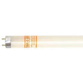 Fluorescent, 4', 32W, T8, 5000K, PK30