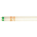 Fluorescent, 32 W, T8, Medium Bi-Pin (G13)