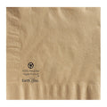Dinner Napkin, 2 Ply, 1/4 Fold, PK150