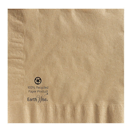 Dinner Napkin, 2 Ply, 1/4 Fold, PK150
