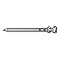 Scaffold Nail, 16d, 3 In, PK220
