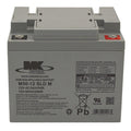 Sweeper Battery, Fits Vacuum Models 1251268
