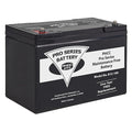 Sump Pump Battery, 12V DC, 100 Ah