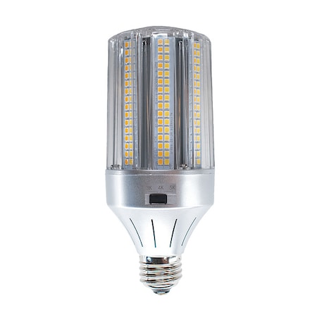 HID LED, 18 W, Medium Screw (E26)
