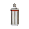 HID LED, 110 W, Mogul Screw (EX39)