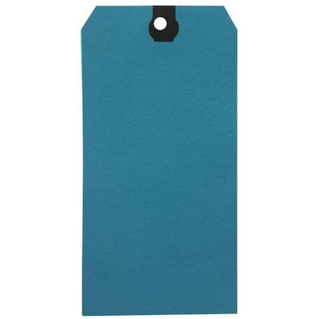 Shipping Tag, Colored, Blue, PK500