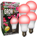 LightBulb, RedSpcHydrpLEDUltraG, 12W, PK4