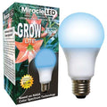 LightBulb, BlueSpcHydrpLEDUltrStart, 12W