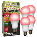 LightBulb, RedSpcWideAngleMltPt, 11W, PK4
