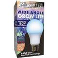 LightBulb, BlueSpcWideAnglMltPtLED, 11W