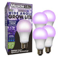LightBulb, RedBlueSpc Mlt Pt LED, 11W, PK4