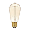 60 W ST19 Incandescent - Clear - 3000 Hours - 240L - Medium Base - 120V