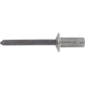 Rivet,PK500
