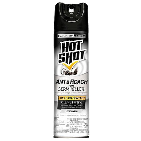 Crawl Insect Killer, 17.5 oz, Spray Can