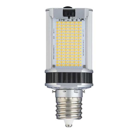 HID LED, 30 W, Mogul Screw (EX39)