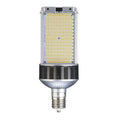 HID LED, 110 W, Mogul Screw (EX39)