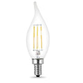 5.5 W, BA10, Candelabra Screw (E12), PK4