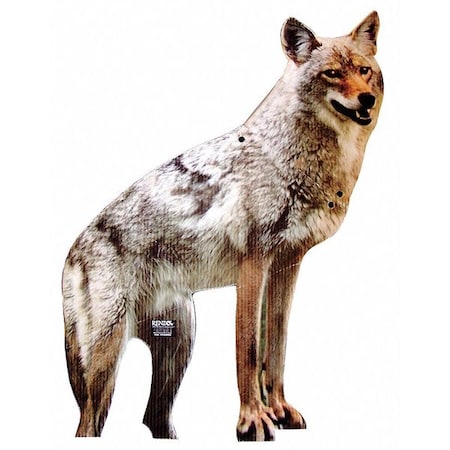 Coyote Decoy, 24.8 in H, Brown/White