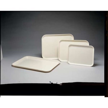 Tray, Chemical Resistant, 3/4 x 14 x 18