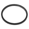 Bung Gasket, 2 In, PK1000
