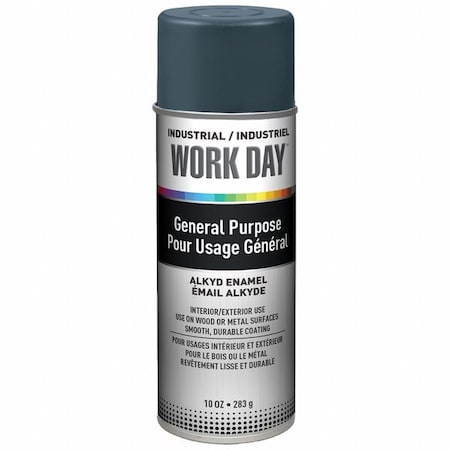 Spray Paint, Gray, Gloss, Solvent, 10 oz