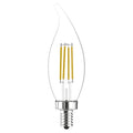 LED Bulb Decorative, 4 1/2 in L, 5 W, PK2