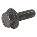Not Graded, 1/2"-13 Flange Bolts, Plain Stainless Steel, 1 1/4 in L, 10 PK