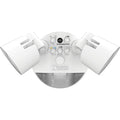 Security Floodlight