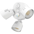 Security Floodlight