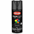 Spray Paint, Black, Gloss, Solvent, 12 oz