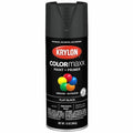 Spray Paint, Black, Flat, Solvent, 12 oz