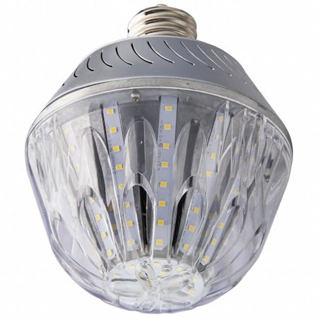 HID LED, 45 W, Mogul Screw (EX39)