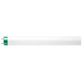 Linear Fluorescent Bulb