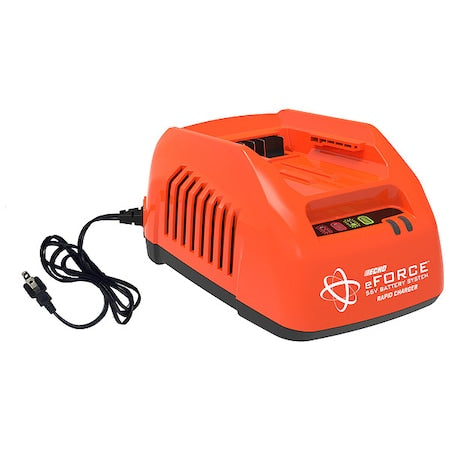 Charger, 115-120V AC, (1) 56V